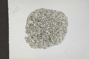 Plane Polarized, S17745