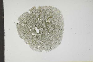 Plane Polarized, S17746