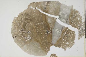 Plane Polarized, S17749