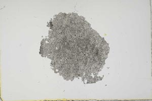 Plane Polarized, S17823