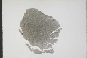 Plane Polarized, S17827