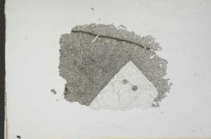 Plane Polarized, S17828