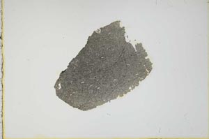 Plane Polarized, S17830