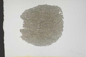 Plane Polarized, S17831
