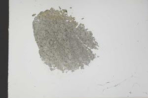 Plane Polarized, S17834