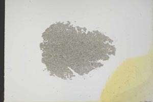 Plane Polarized, S17838