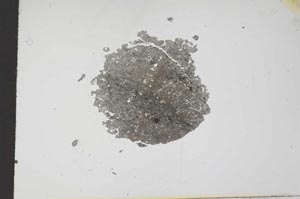 Plane Polarized, S17839