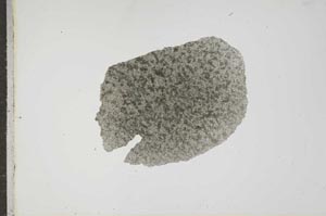 Plane Polarized, S17843