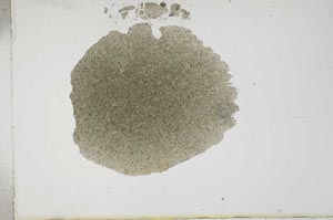 Plane Polarized, S17844