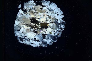 Cross Polarized, S17845