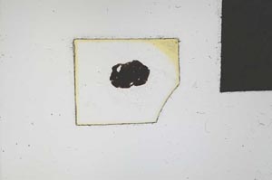 Plane Polarized, S17850