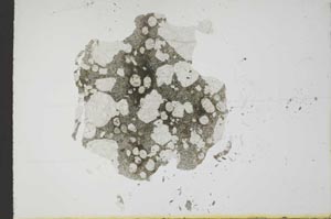 Plane Polarized, S17862