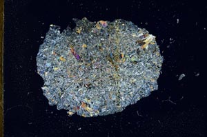 Cross Polarized, S17864