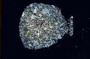 Cross Polarized, S17886