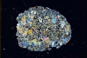 Cross Polarized, S17888