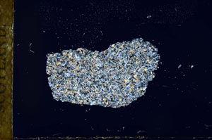 Cross Polarized, S17906