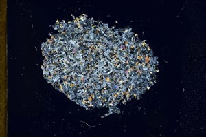 Cross Polarized, S17907