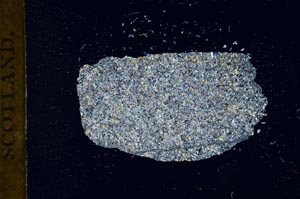 Cross Polarized, S17912