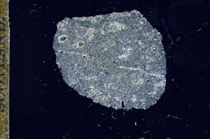 Cross Polarized, S17932
