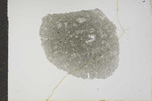 Plane Polarized, S17932