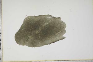 Plane Polarized, S17933