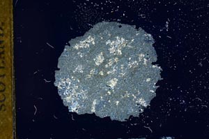 Cross Polarized, S17934
