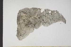 Plane Polarized, S17951