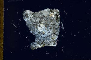 Cross Polarized, S17957