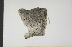 Plane Polarized, S17957