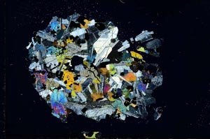 Cross Polarized, S17960