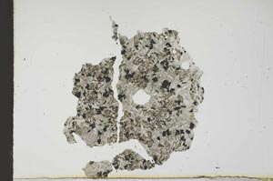 Plane Polarized, S17972