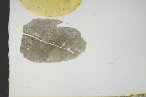 Plane Polarized, S17973