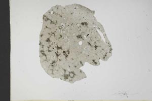 Plane Polarized, S17978