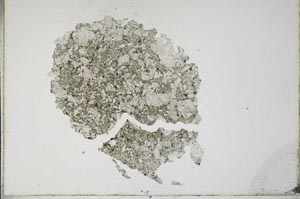 Plane Polarized, S17988