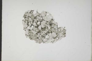 Plane Polarized, S17992