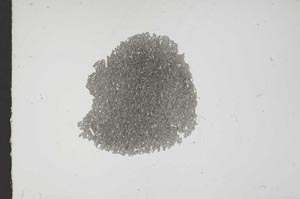 Plane Polarized, S18022