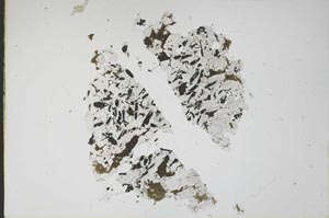 Plane Polarized, S18026