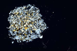 Cross Polarized, S18183