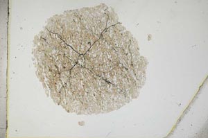 Plane Polarized, S18267