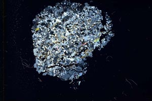 Cross Polarized, S18292