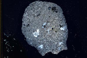 Cross Polarized, S18293