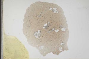 Plane Polarized, S18293