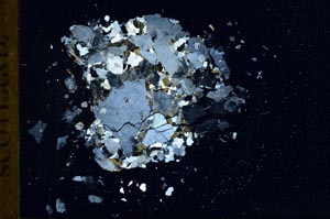 Cross Polarized, S18294