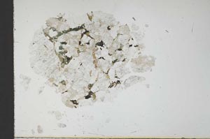 Plane Polarized, S18294