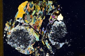 Cross Polarized, S18295