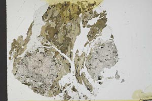 Plane Polarized, S18295