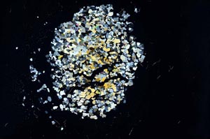 Cross Polarized, S18297