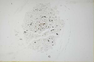 Plane Polarized, S18297