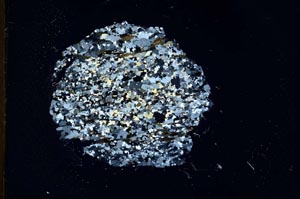 Cross Polarized, S18298