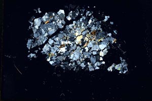 Cross Polarized, S18299